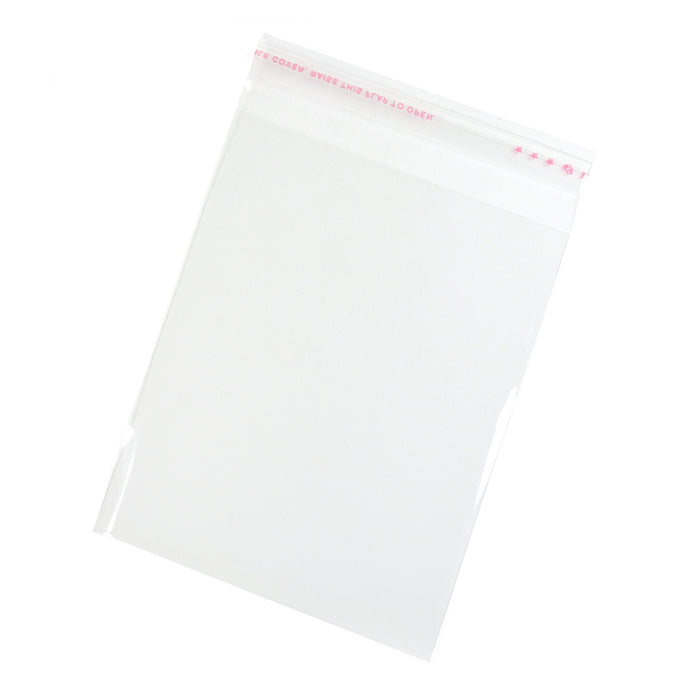 Transparenta plastpåsar, 10x16cm