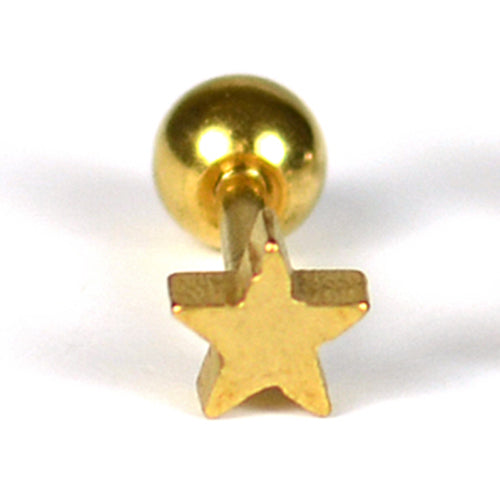 Earring / piercing in stainless steel, star, 1 piece