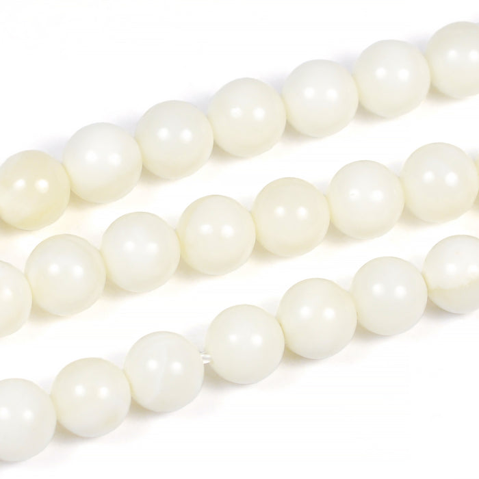 Round seashell beads, white, 6mm